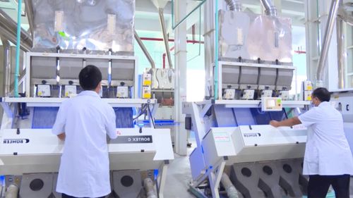 十三五成就巡礼 播州区多元营销体系赋能绿色食品工业，教育投资奠基长远发展